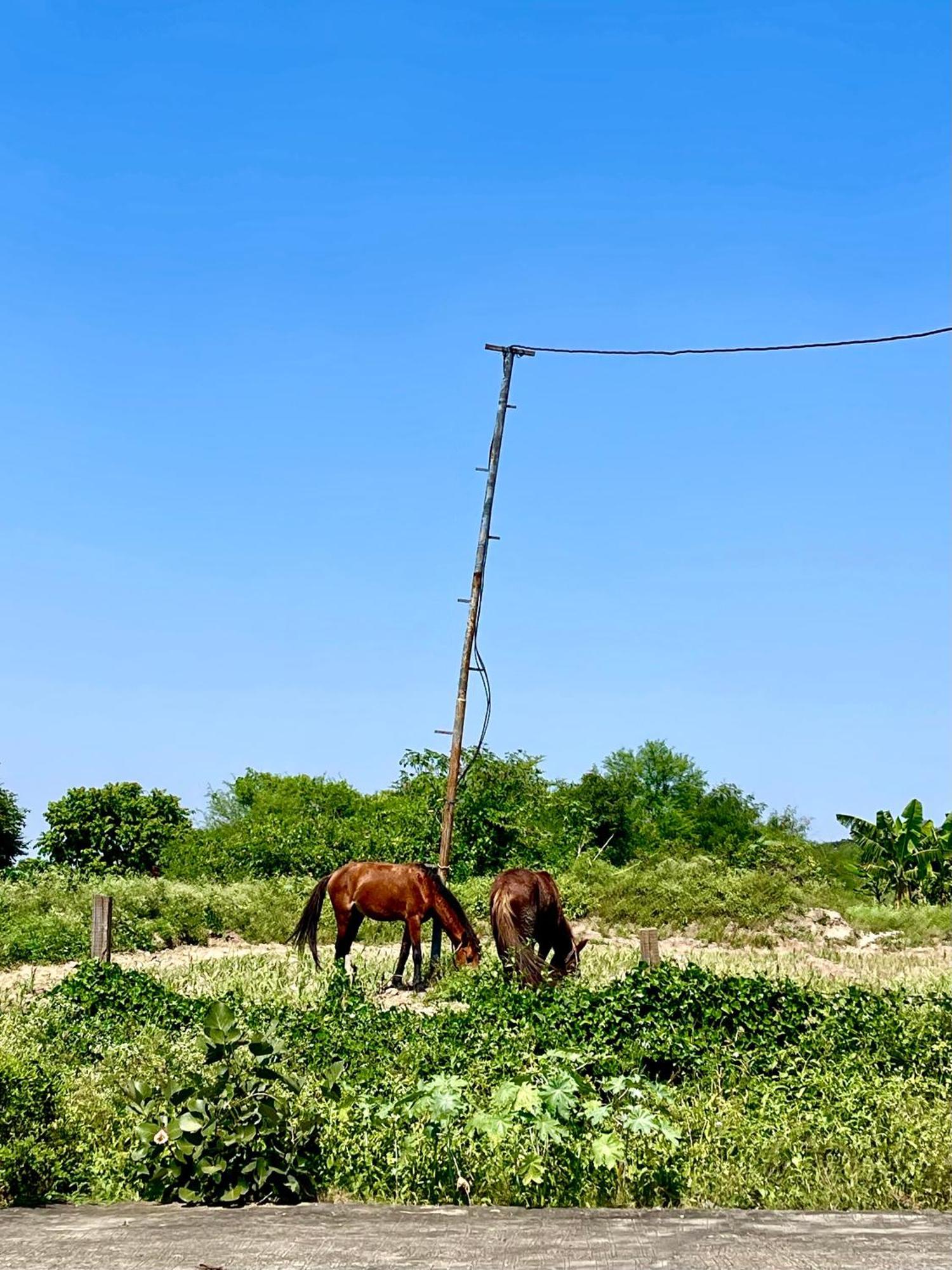 Hotel Tekri Farms And Retreat Ujjain Exterior foto