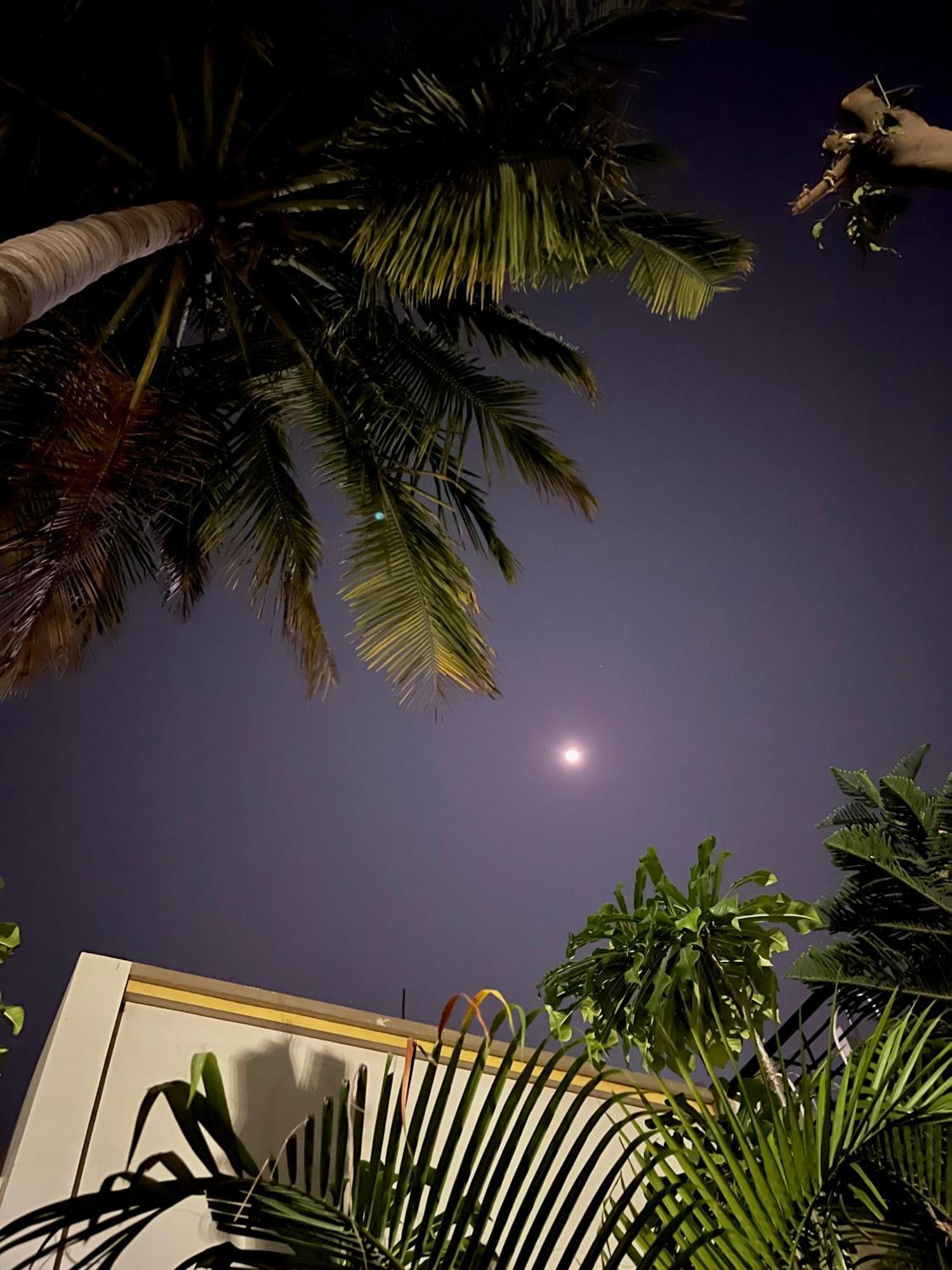Hotel Tekri Farms And Retreat Ujjain Exterior foto