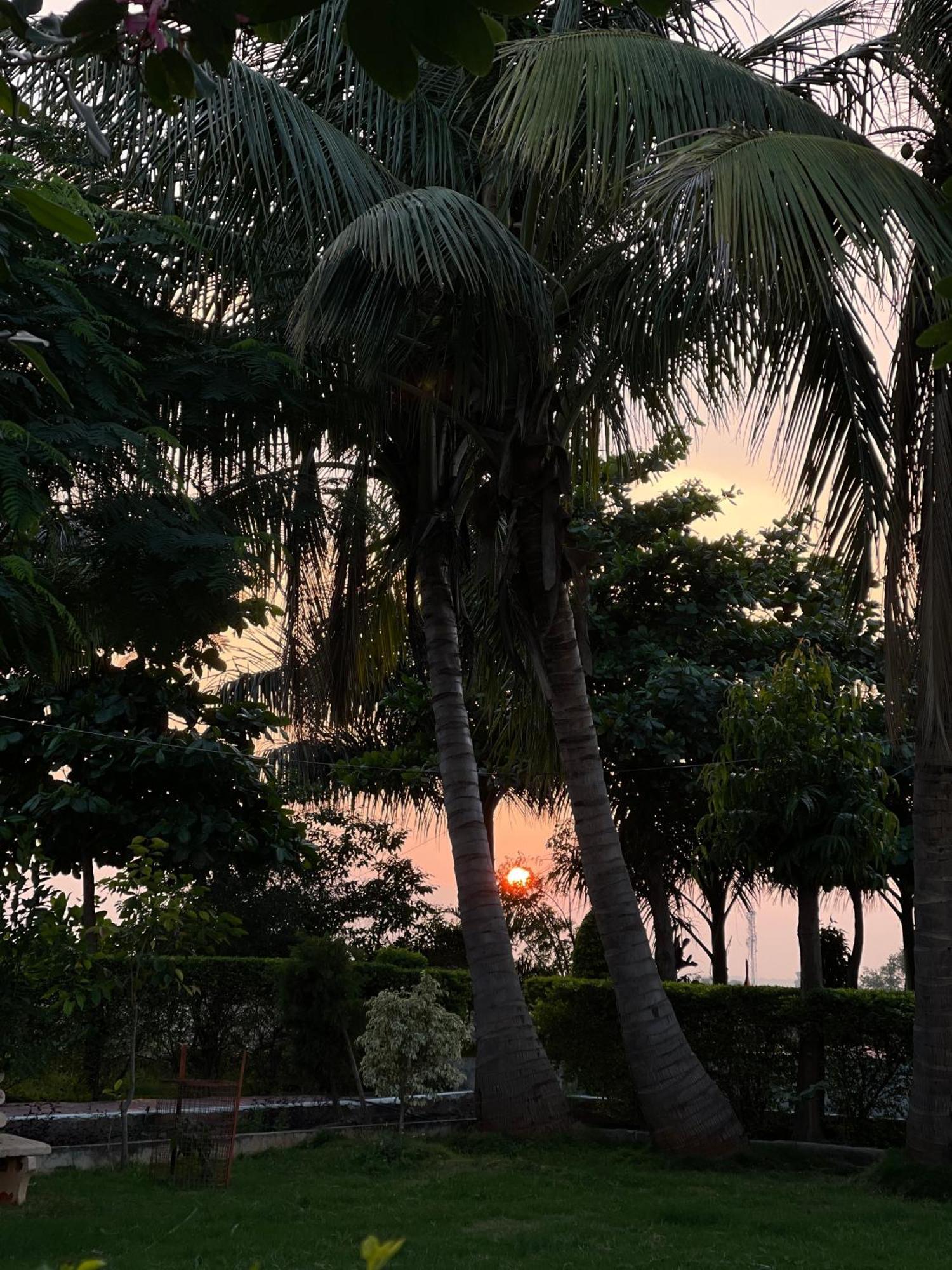 Hotel Tekri Farms And Retreat Ujjain Exterior foto